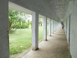 Bbic