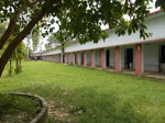 Bbic