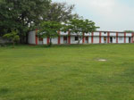 Bbic