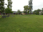 Bbic